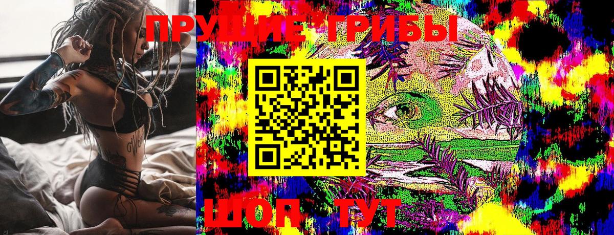 Псилоцибиновые грибы Cubensis Джанкой